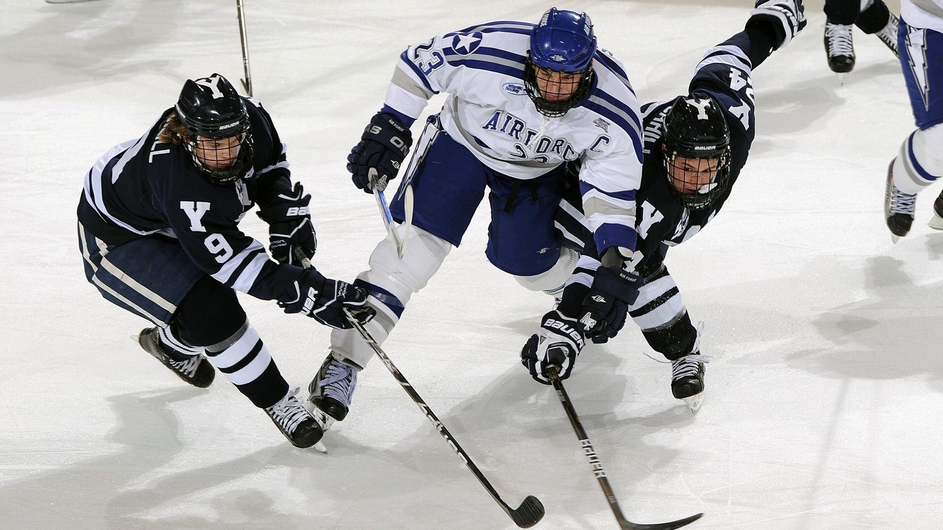 自由泳接力突尼斯团队协作顺畅，400米自由泳突尼斯